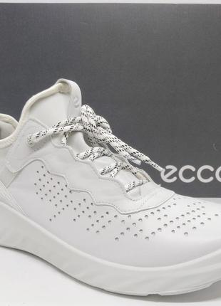 Кожаные кроссовки хайтопы ecco st.1 оригинал