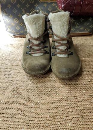 Коричневі замшеві шкіряні чобітки clark’s взуття жіночі туфлі еко овчина5 фото