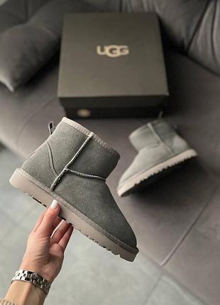 Ugg mini grey замш сірі угги замшеві натуральна овчина