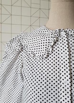 Стильна жіноча блуза в горох, блуза з коміром loavies, бавовняна блуза з об'ємними рукавами5 фото