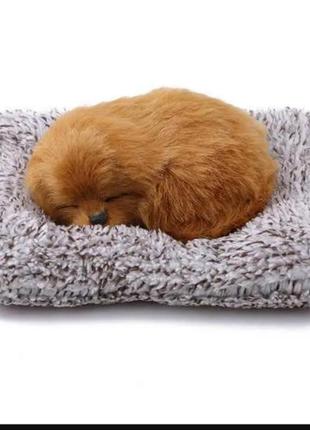 Игрушка собачка пушистик спит на коврике