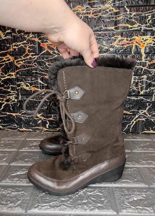 Високі чоботи hotter