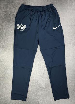 Nike academy fcz спортивні штани спортивные штаны