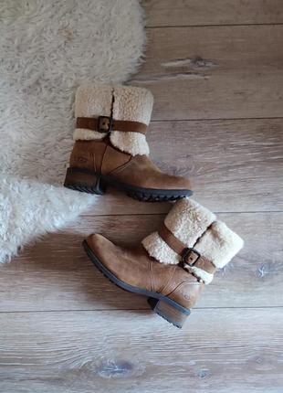 Сапожечки ugg1 фото