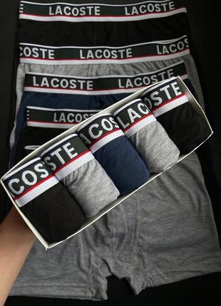 Боксери lacoste