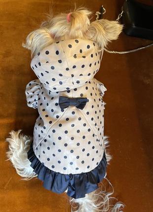 Невероятно красивая и качественная курточка для собачки 🐶