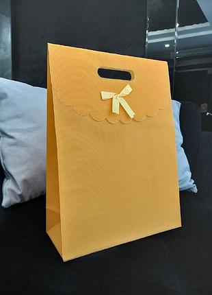 Подарочный пластиковый пакет на липучке с атласным батиком 38х28см и 16х12см