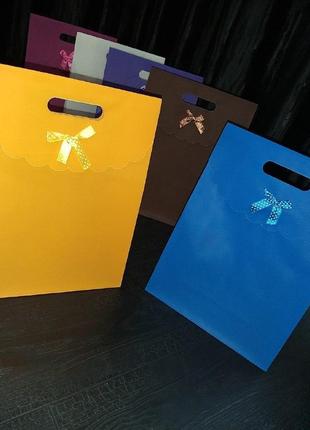 Подарочный пластиковый пакет на липучке с атласным батиком 38х28см и 16х12см