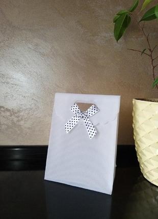 Подарунковий пластиковий пакет на липучці з атласним батиком 12х16см та 38х28см