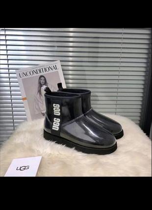 Натуральні ugg clear mini classik