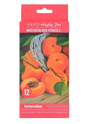 Набір акварельних олівців "santi highly pro", 12 шт
