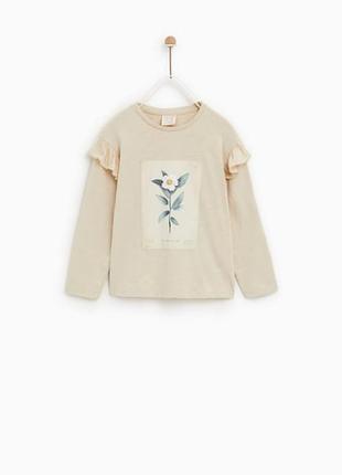 Реглан zara 11-12лет 146- 152 см