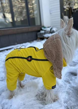 Комбінезон для собаки (дівчинки) bright yellow teddy / зимовий комбінезон для тварин / зимовий комбінезон на собаку дівчинку