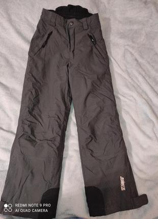 Лижні штани