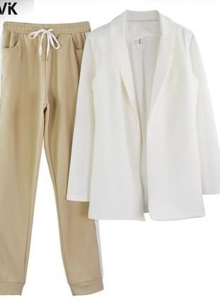 Класичеcский женский костюм двойка (пиджак + брюки в полоску) разные цвета