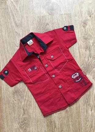 Красивая и модная рубашечка для малыша