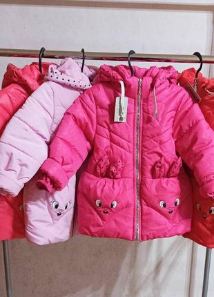 Демісезонна куртка для дівчинки