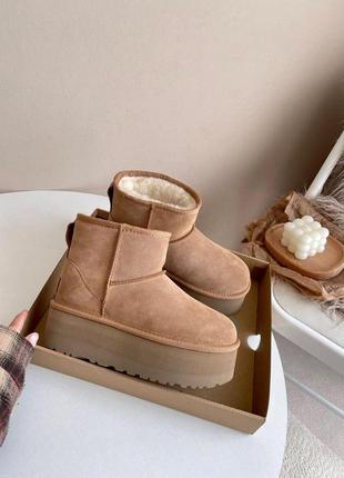 Ugg  угги на платформе ugg ultra mini platform1 фото