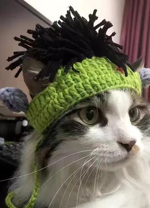 Шерстяная шапка для котов и собак. зимняя шапка для животных, шапка для котов.3 фото