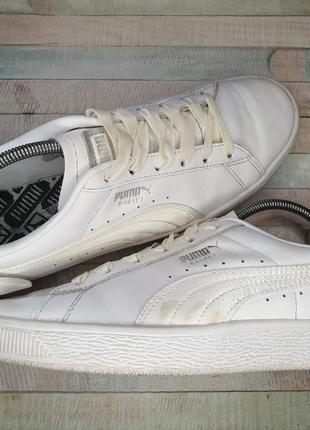 Кеды puma basket