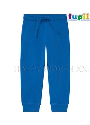 2-6 лет утепленные спортивные штаны для мальчика lupilu джогеры с начесом теплые штаники на флисе1 фото