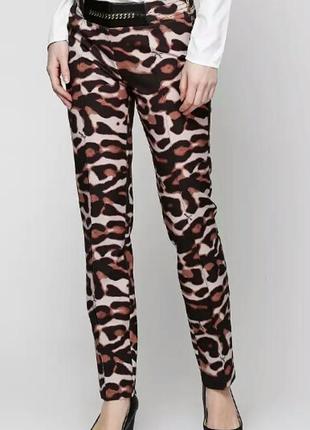 Леопардовые брюки  sassofono р. 38 сассофоно тигровые