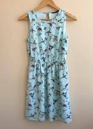Нарядное голубое платье с вырезом на спине zara оригинал принт птицы6 фото