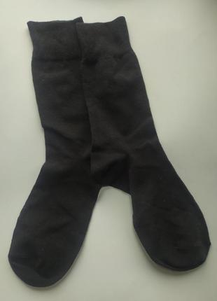 Шкарпетки чоловічі 39-42 nutmeg3 фото