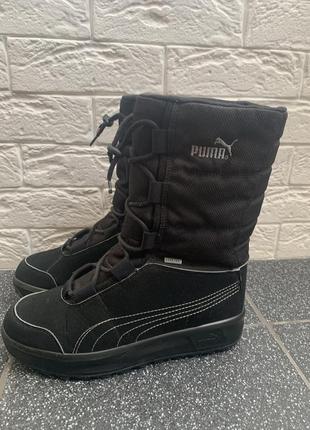 Чобітки  puma 24,5см устілка8 фото