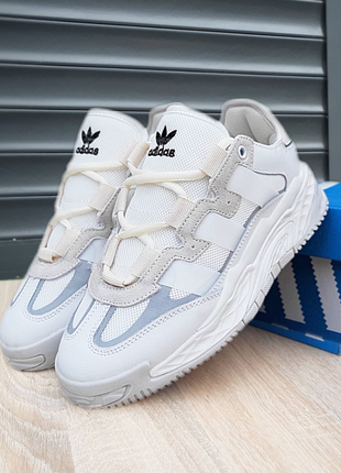 Женские демисезонные кроссовки adidas niteball белые с серым кросівки жіночі адидас