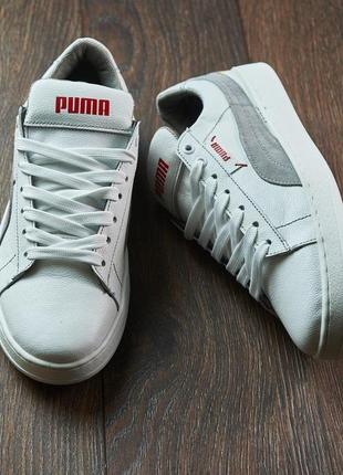 Мужские кожаные белые кеды puma, чоловічі шкіряні білі кеди6 фото