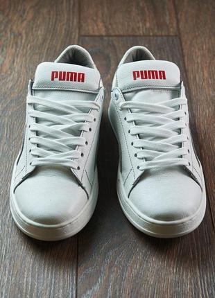 Мужские кожаные белые кеды puma, чоловічі шкіряні білі кеди7 фото