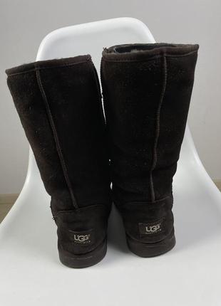 Сапоги ugg угги4 фото