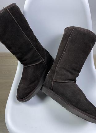 Сапоги ugg угги6 фото