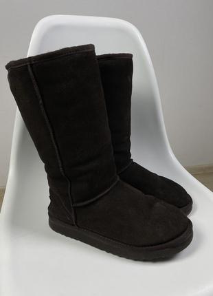 Сапоги ugg угги