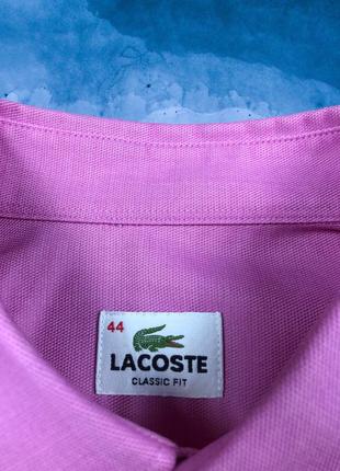 Оригинальная тенниска lacoste3 фото