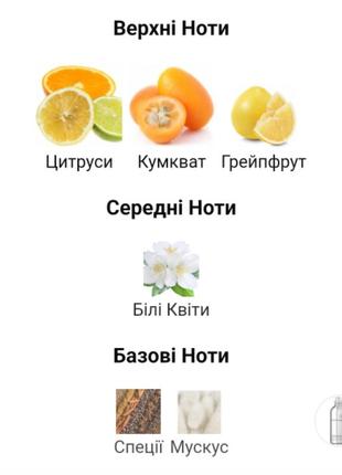 Масляные духи4 фото