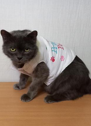 Жилет жилетка для собаки, кота