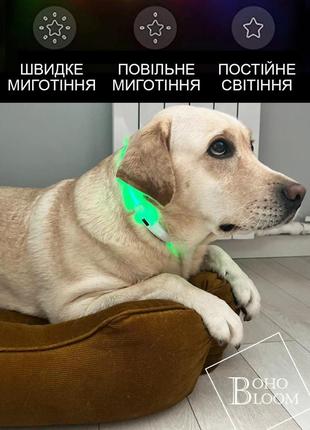 Ошейник светодиодный для собак, нашийник світлодіодний для собак3 фото