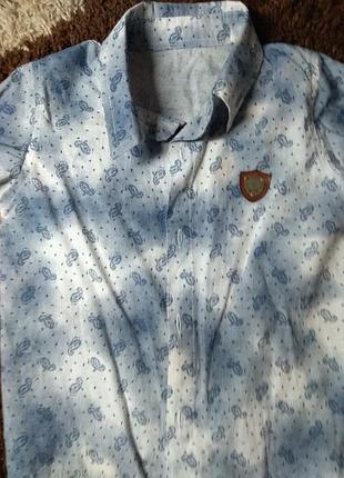 Модная рубашка, крутой принт