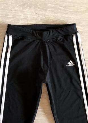 Штани adidas2 фото