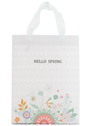 Пакет пластиковий подарунковий 25х19см, hello spring 03
