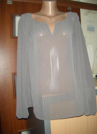Шифоновая блуза в горох, размер l-16-44