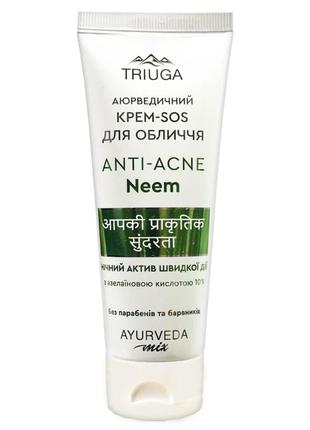 Нічний крем для проблемної шкіри обличчя neem (нім) серії ayurveda mix triuga 75 мл