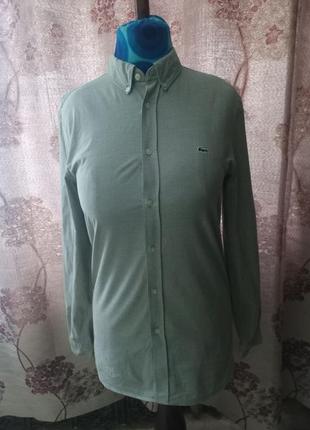Рубашка lacoste 3