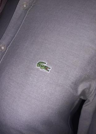 Рубашка lacoste7 фото