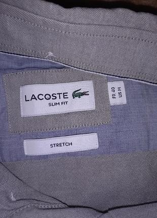 Рубашка lacoste 8