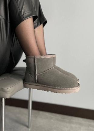 Жіночі замшеві уггі ugg classic mini grey 2.0. натуральна вовна