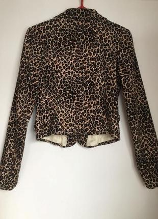 Леопардовый пиджак2 фото
