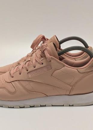 Reebok classic кросівки